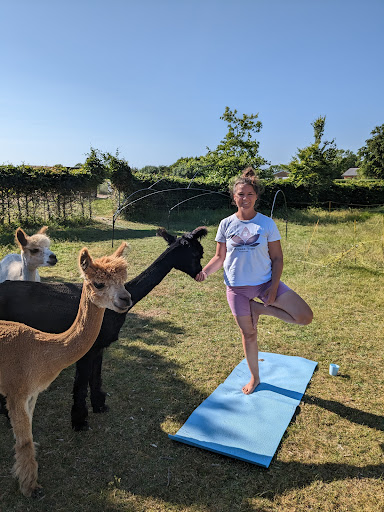 AlpakayogaOdsherred in Vig, Odsherred
