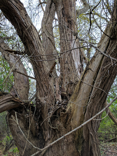 Public Golf Course «Greenfield Golf Course», reviews and photos, 12035 W Greenfield Ave, Milwaukee, WI 53214, USA