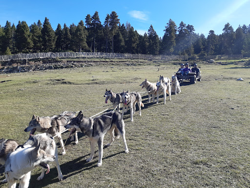 Cau de Llops en Tuixent, Lleida