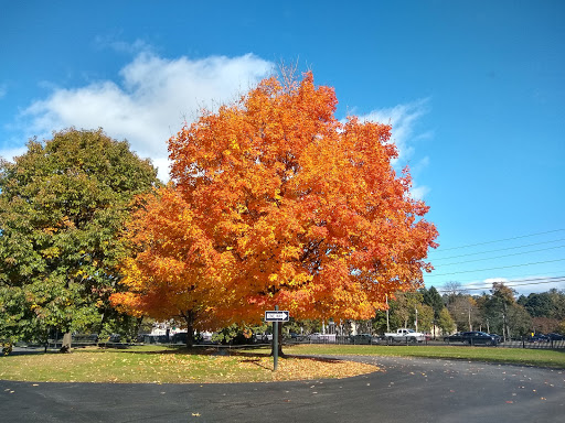 Historical Place «Locust Grove Estate», reviews and photos, 2683 South Rd, Poughkeepsie, NY 12601, USA