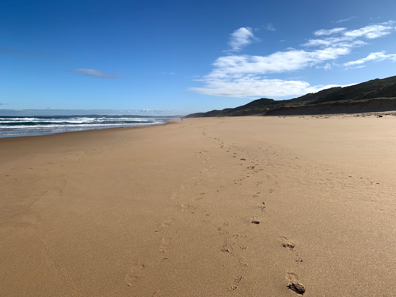 Foto di Williamson's Beach sorretto da scogliere