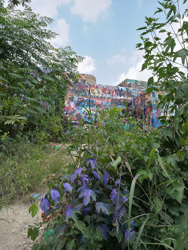 Art Gallery «HOPE Outdoor Gallery», reviews and photos, 1101 Baylor St, Austin, TX 78703, USA