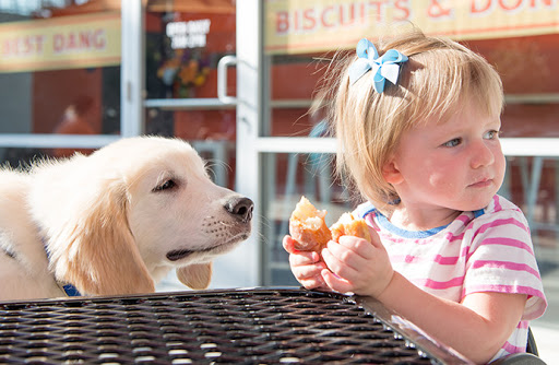 Donut Shop «Rise Biscuits & Donuts», reviews and photos, 1100 Market Center Dr, Morrisville, NC 27560, USA