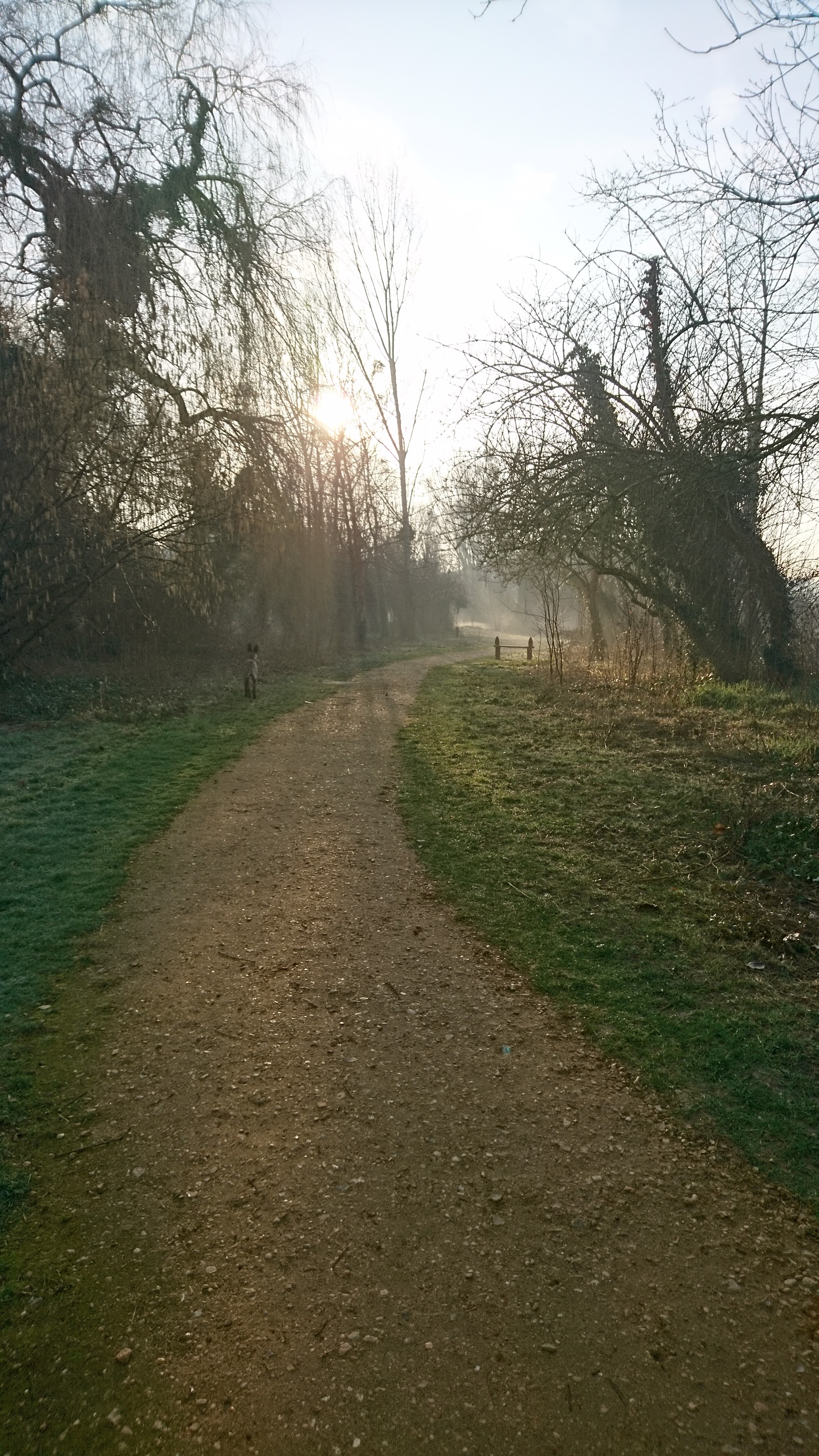 Photo n° 4 de l'avis de Selkie.' fait le 23/02/2019 à 08:38