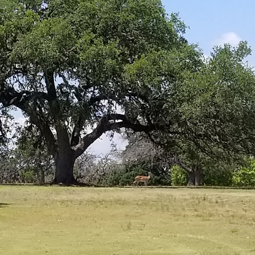 Golf Course «Flying L Golf Course», reviews and photos, 675 Flying L Dr, Bandera, TX 78003, USA