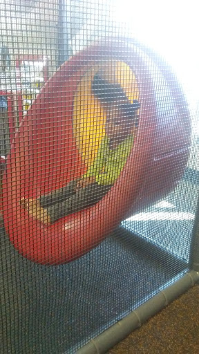 Fast Food Restaurant «Chick-fil-A», reviews and photos, 25 W Underwood St, Cleveland, GA 30528, USA