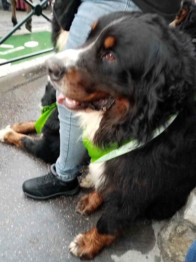 Photo n° 5 de l'avis de Brigitte.a fait le 15/10/2023 à 07:27