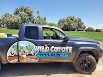 Wild Coyote Pool Service - Photo 6 - Car repair in , San Tan Valley