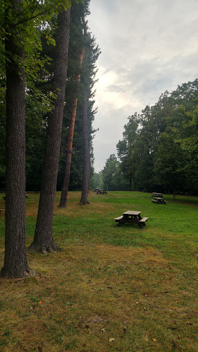 Live Music Venue «Blossom Music Center», reviews and photos, 1145 W Steels Corners Rd, Cuyahoga Falls, OH 44223, USA