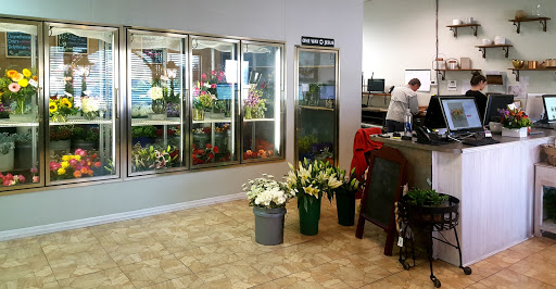 Florist «Carrollwood Florist», reviews and photos, 11745 N Dale Mabry Hwy, Tampa, FL 33618, USA