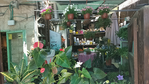 Green green flower shops