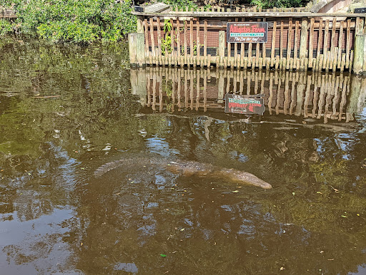 Zoo «St. Augustine Alligator Farm Zoological Park», reviews and photos, 999 Anastasia Blvd, St Augustine, FL 32080, USA