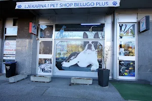 Belugo Plus image