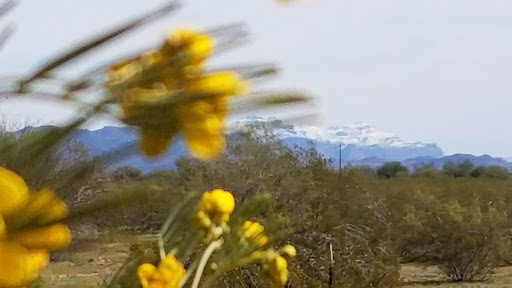 Golf Course «Talking Stick Golf Club», reviews and photos, 9998 E Indian Bend Rd, Scottsdale, AZ 85256, USA