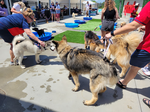 Stadium «SunTrust Park», reviews and photos, 755 Battery Avenue Southeast, Atlanta, GA 30339, USA