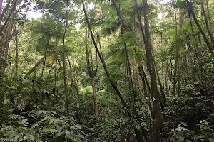 Millet bird sanctuary and nature trail image