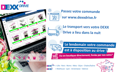 Dexx Drive Metz à Argancy