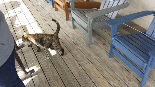 Wicker Store «Cape May Wicker», reviews and photos, 203 Sunset Blvd, West Cape May, NJ 08204, USA