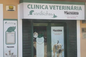 Sanibichos - Veterinary Services, Single-person, Ltd image