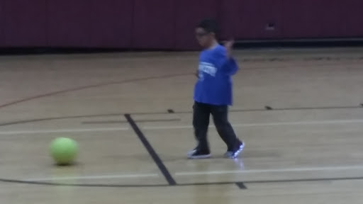 Park «Oriole Park», reviews and photos, 5430 N Olcott Ave, Chicago, IL 60656, USA