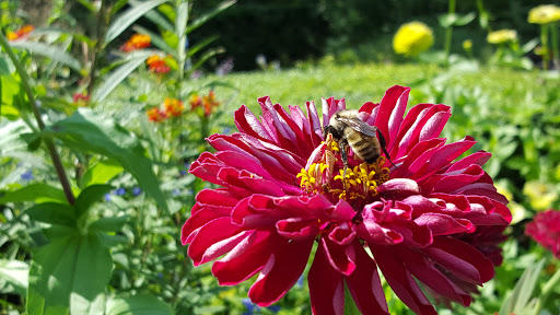 Museum «Museum of the City of New York», reviews and photos, 1220 5th Ave & 103rd St, New York, NY 10029, USA