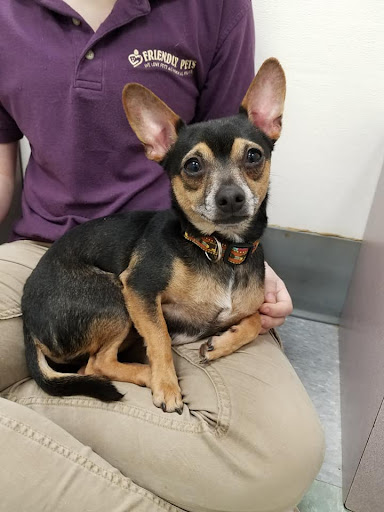 Pet Store «Friendly Pets», reviews and photos, 625 Friendly Center Rd, Greensboro, NC 27408, USA