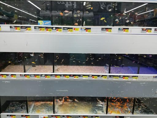 Discount Store «Walmart», reviews and photos, 50 N MacDade Blvd, Glenolden, PA 19036, USA