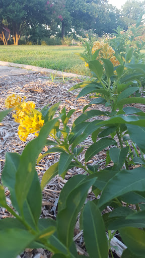 Park «Lake Cliff Park», reviews and photos, 300 E Colorado Blvd, Dallas, TX 75201, USA