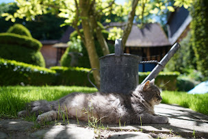 Photo n°42 de If Bistronomie de Campagne à Gerberoy ()