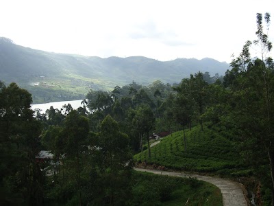 Photos of Wanarajah Tea Factory