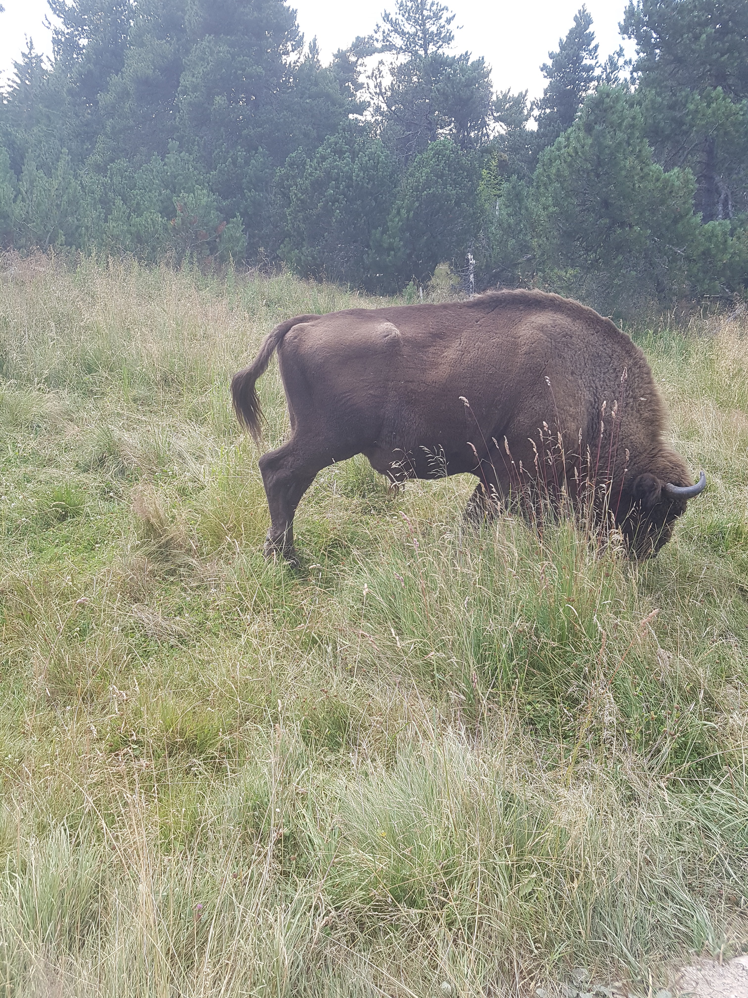 Photo n° 9 de l'avis de Mick.u fait le 26/07/2018 à 19:41