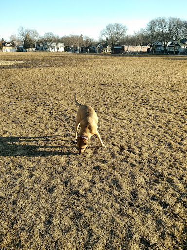 Rover West Dog Park