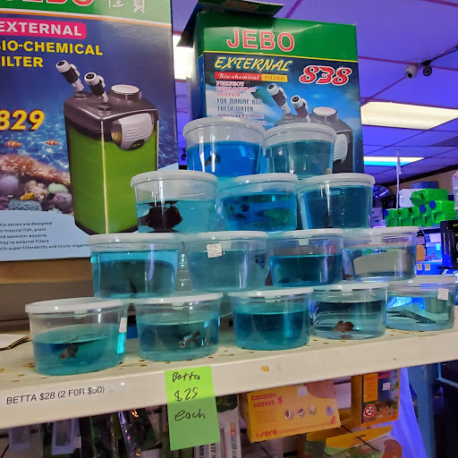 Aquarium Shop «Total Fish & Pets», reviews and photos, 137 Valley Blvd, Alhambra, CA 91801, USA