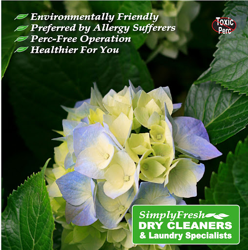 Dry Cleaner «SimplyFresh Dry Cleaners», reviews and photos, 810 Ohio Pike, Cincinnati, OH 45245, USA
