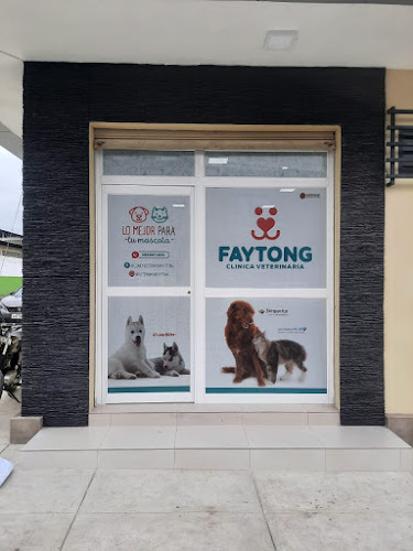 Clínica Veterinaria Faytong - Veterinario