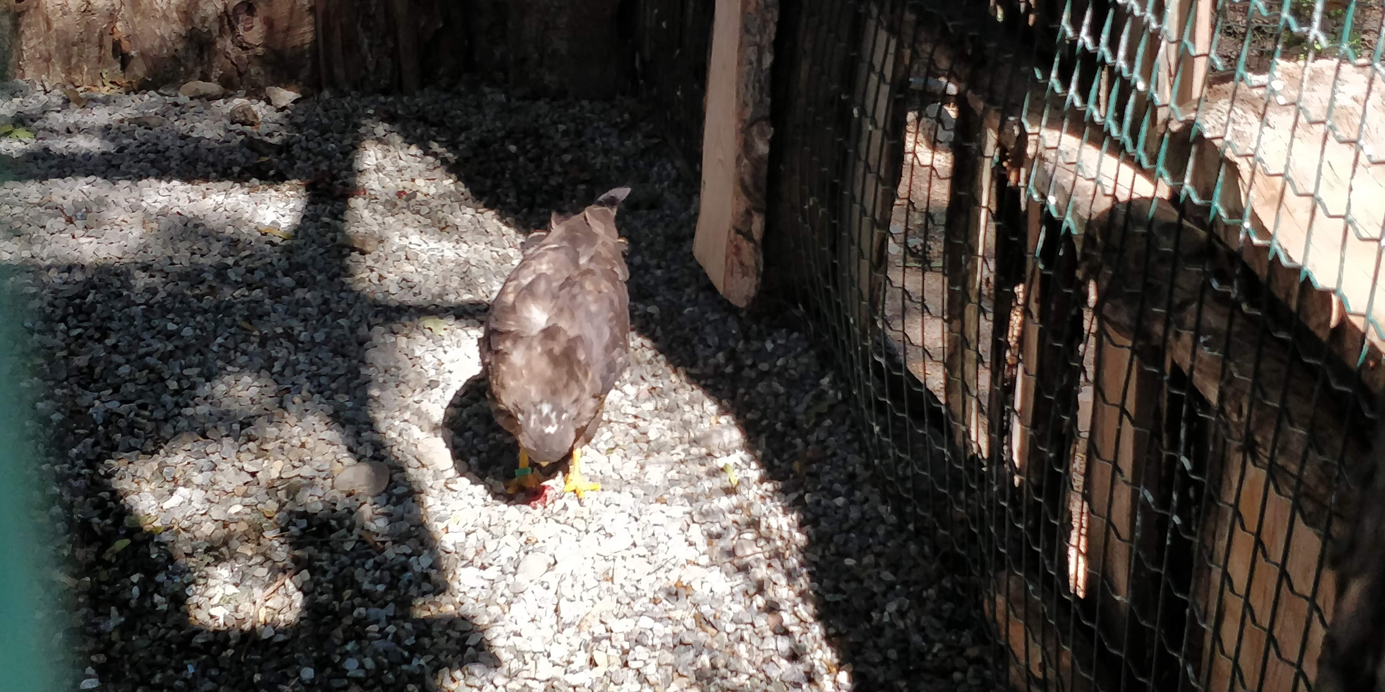 Photo n° 14 de l'avis de Sylvain.e fait le 02/08/2018 à 06:25