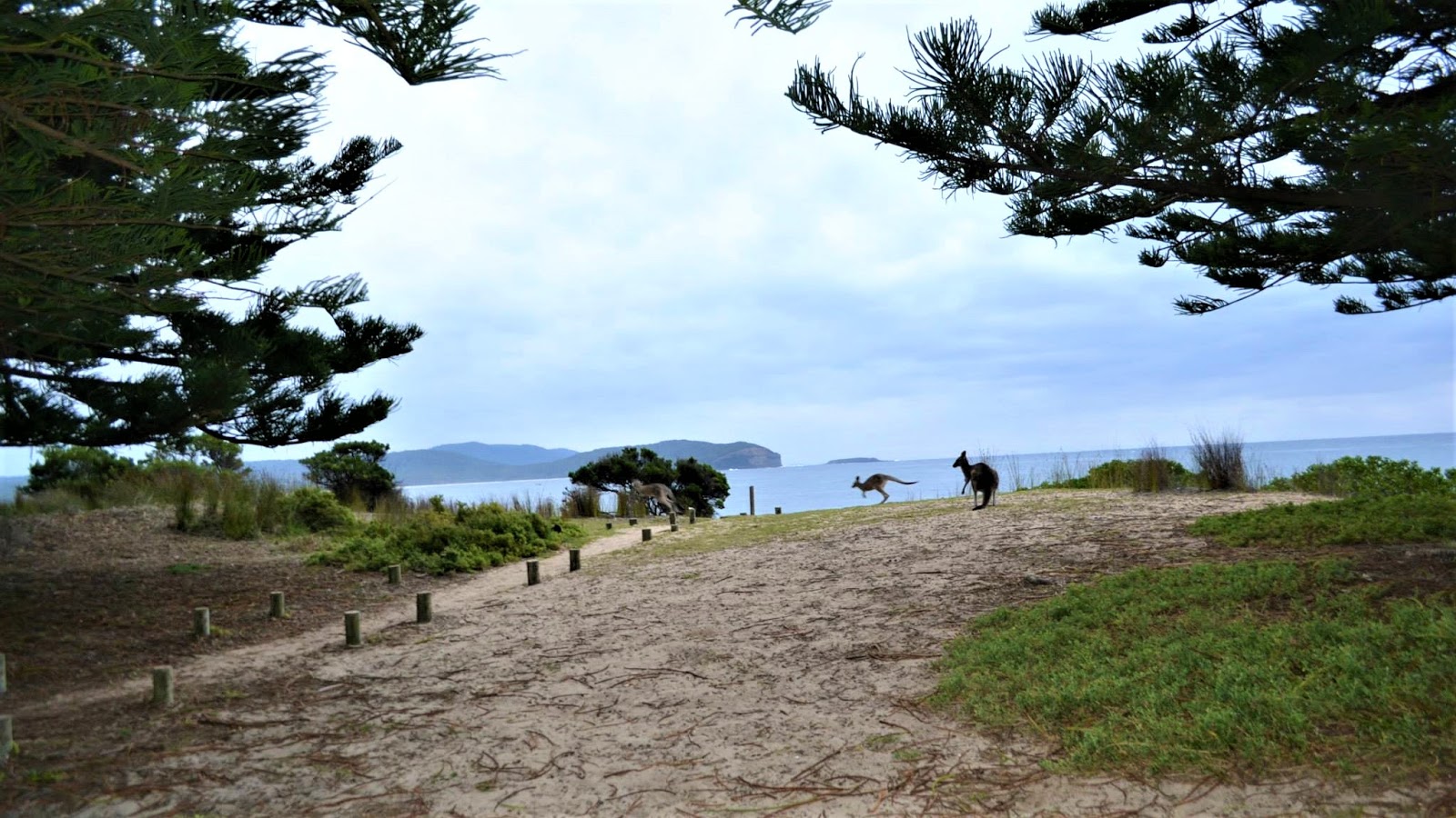 Foto von Mill Beach annehmlichkeitenbereich