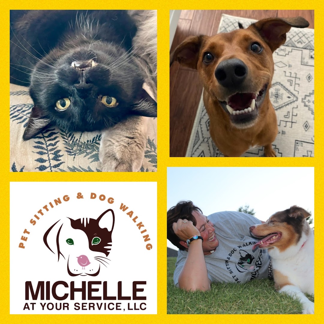 Michelle At Your Service-Pet Sitting & Dog Walking LLC