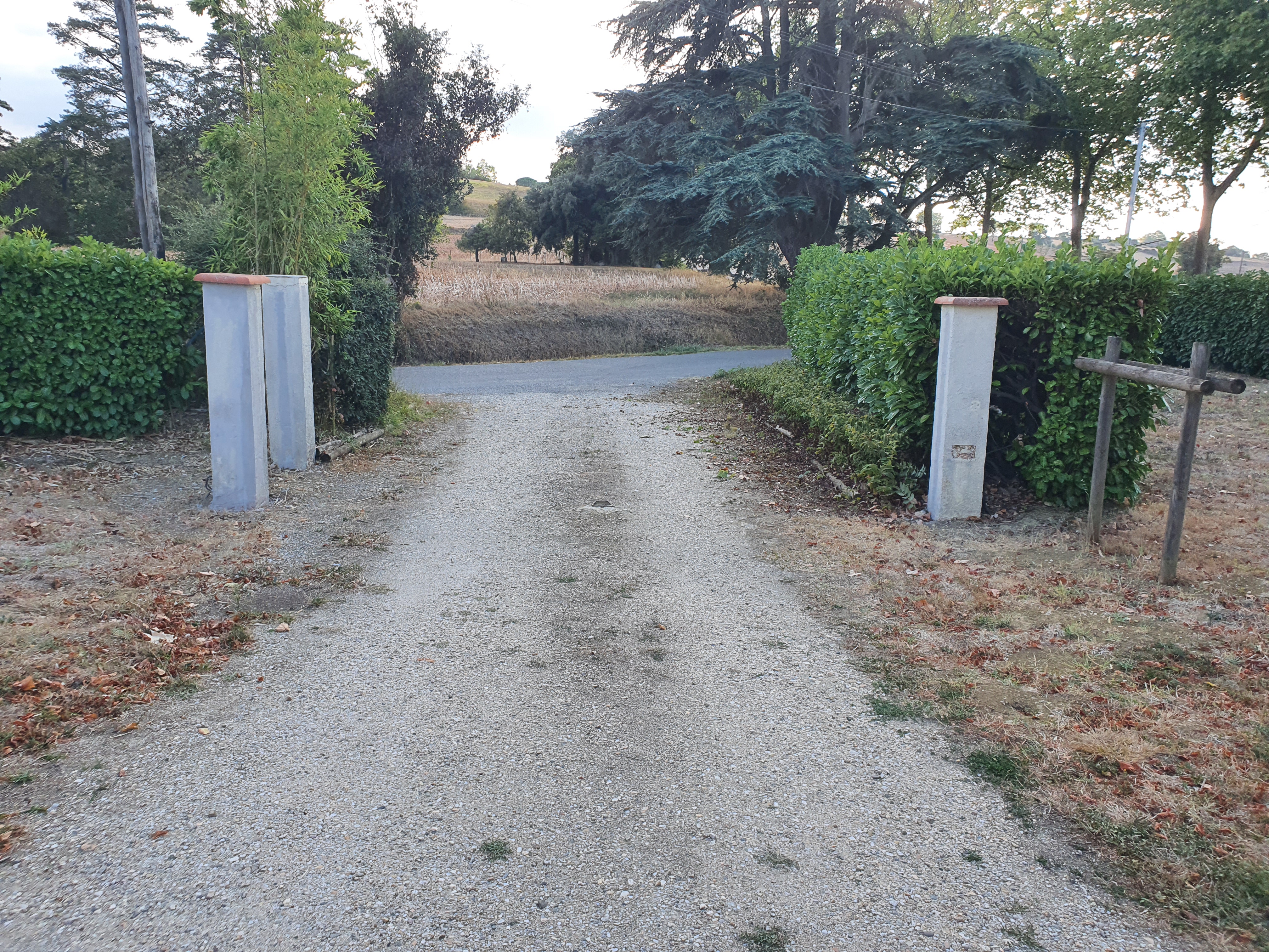 Photo n° 6 de l'avis de Emilien.a fait le 30/09/2022 à 20:38