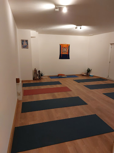 Beoordelingen van COACHING en YOGA in Gent - Yoga studio