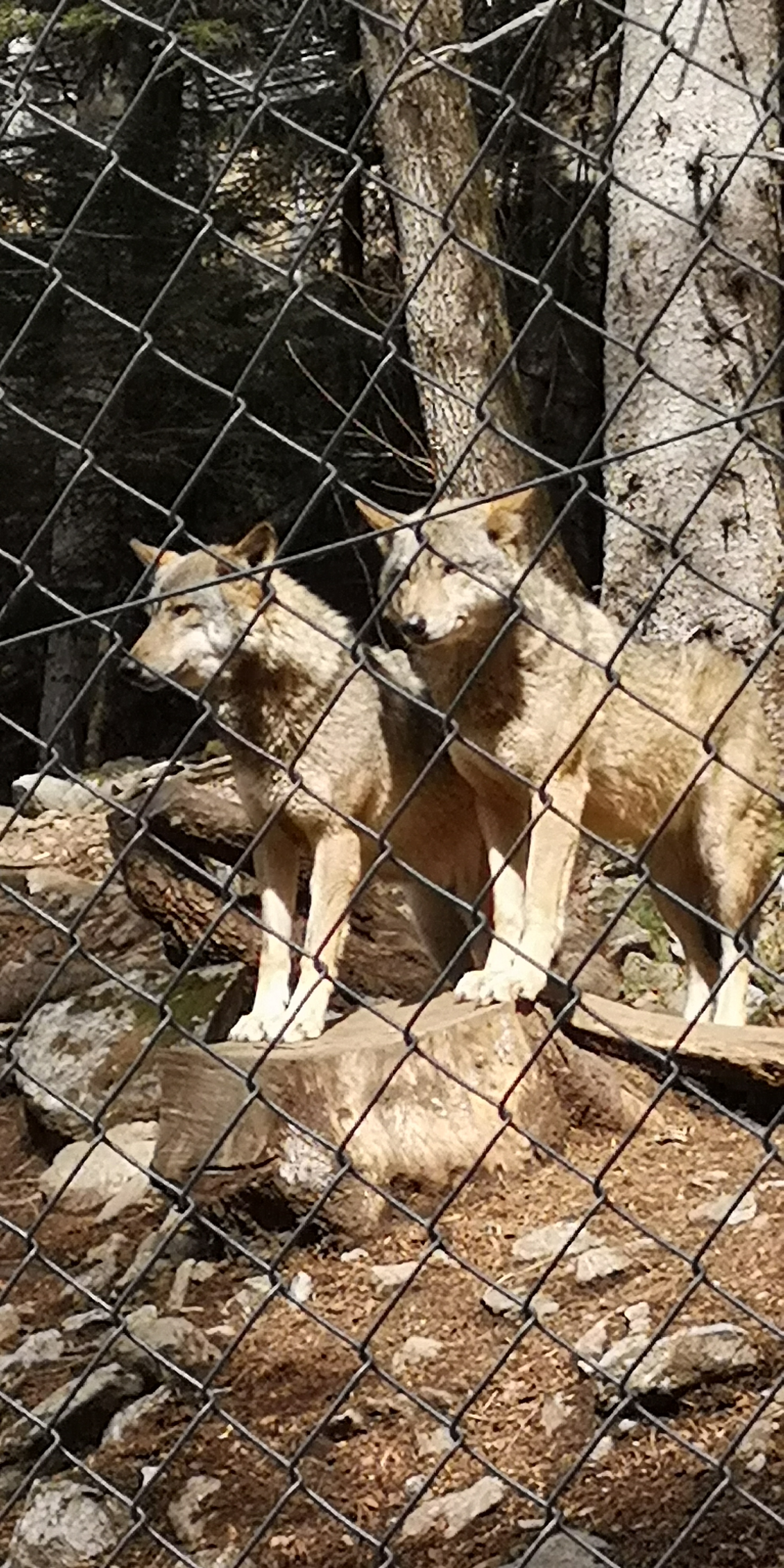 Photo n° 1 de l'avis de Laet.� fait le 19/03/2023 à 22:28