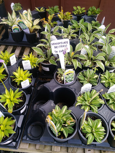 Garden Center «Nalls Produce», reviews and photos, 7310 Beulah St, Alexandria, VA 22315, USA