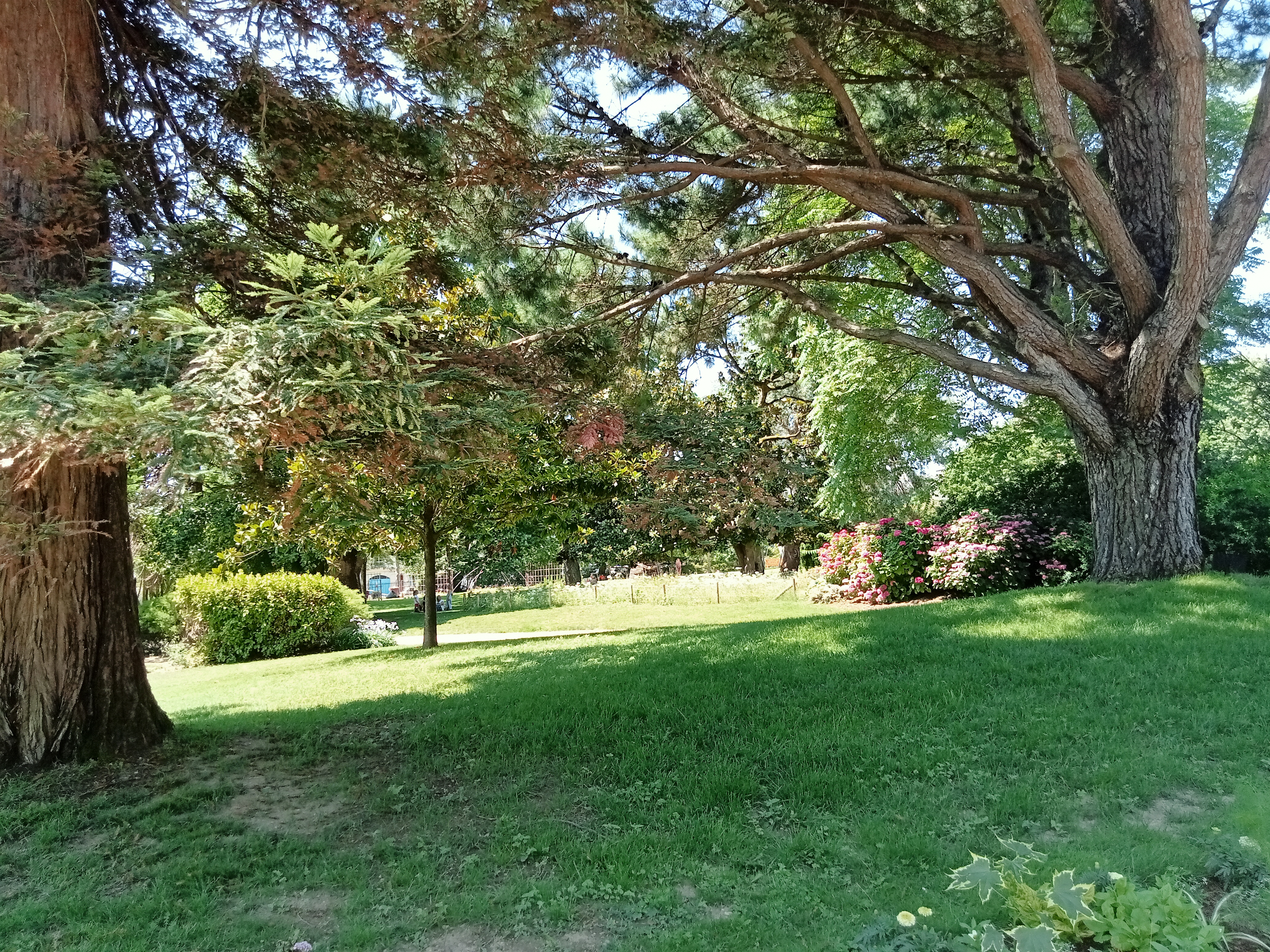 Photo n° 4 de l'avis de Lucienne.V fait le 29/06/2023 à 14:26