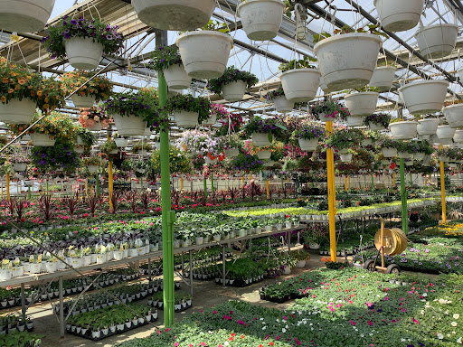 Florist «Dutch & Olgas Greenhouse», reviews and photos, 1285 NJ-36, Hazlet, NJ 07730, USA