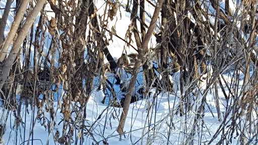 Park «Valley View Park», reviews and photos, 5575 Ozark Avenue North, Oak Park Heights, MN 55082, USA