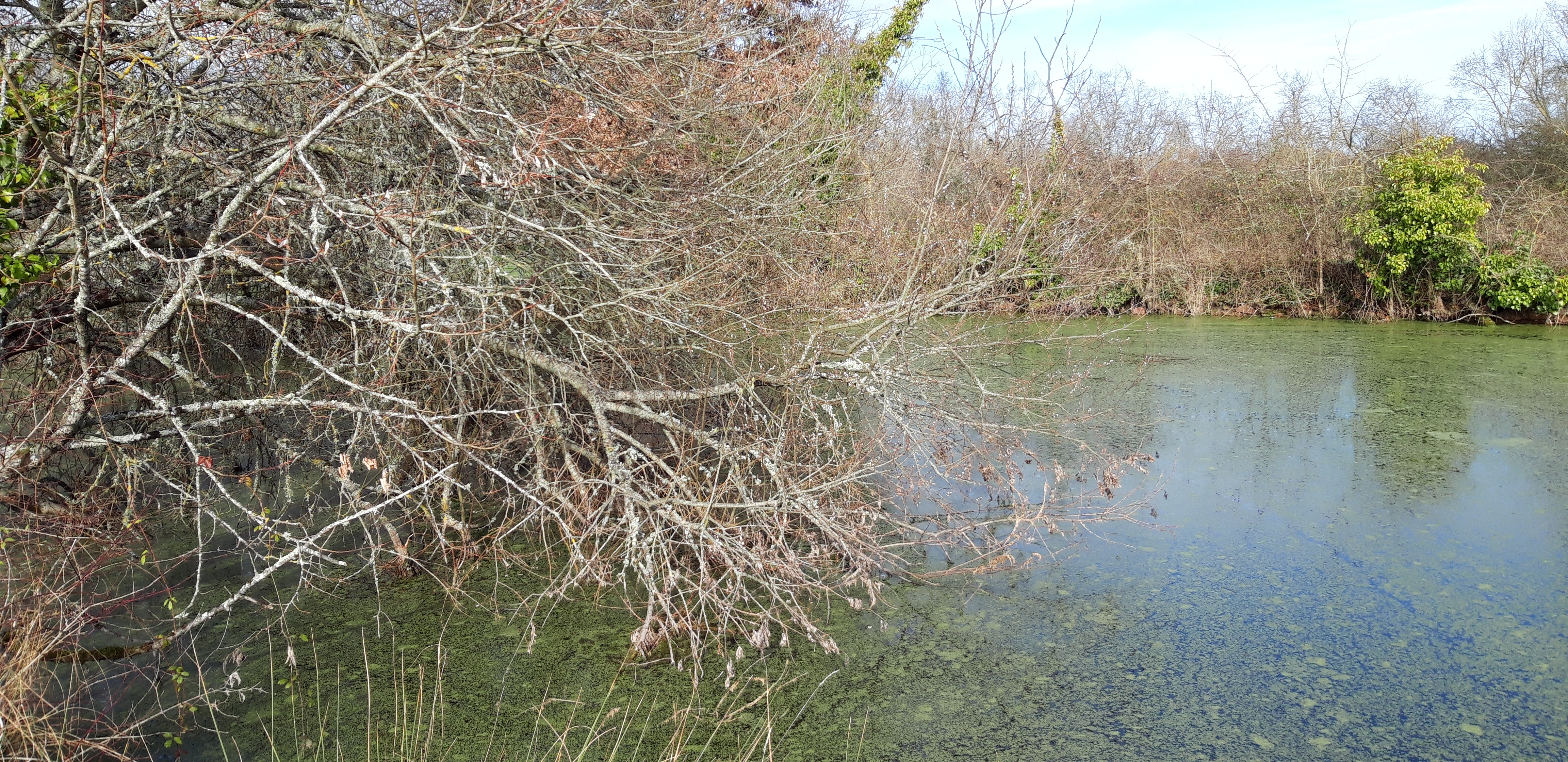 Photo n° 3 de l'avis de laurent.r fait le 01/03/2022 à 17:17