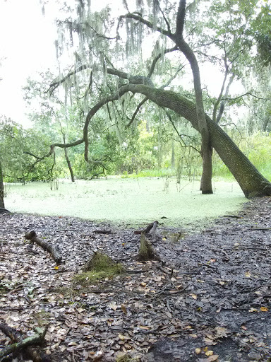 Park «Davis Park», reviews and photos, 612 N Parsons Ave, Brandon, FL 33510, USA