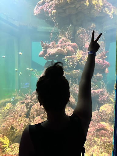 Top 20 cửa hàng air space Quận 11 Hồ Chí Minh 2022