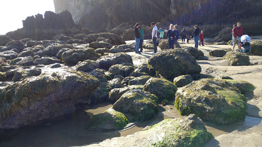 Tourist Attraction «Haystack Rock», reviews and photos, US-101, Cannon Beach, OR 97110, USA