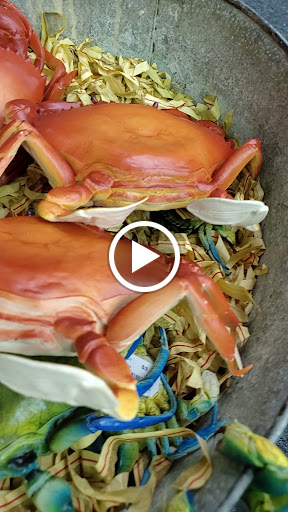 Gift Shop «Ocean Treasures», reviews and photos, 966 Boardwalk, Ocean City, NJ 08226, USA